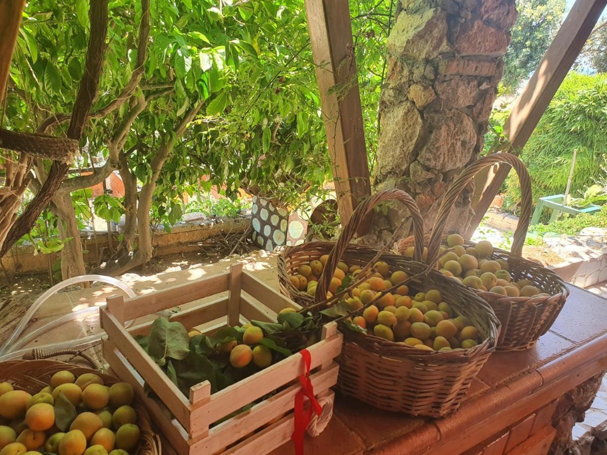 Nadia'S Traditional Greek House Ανάβυσσος Εξωτερικό φωτογραφία