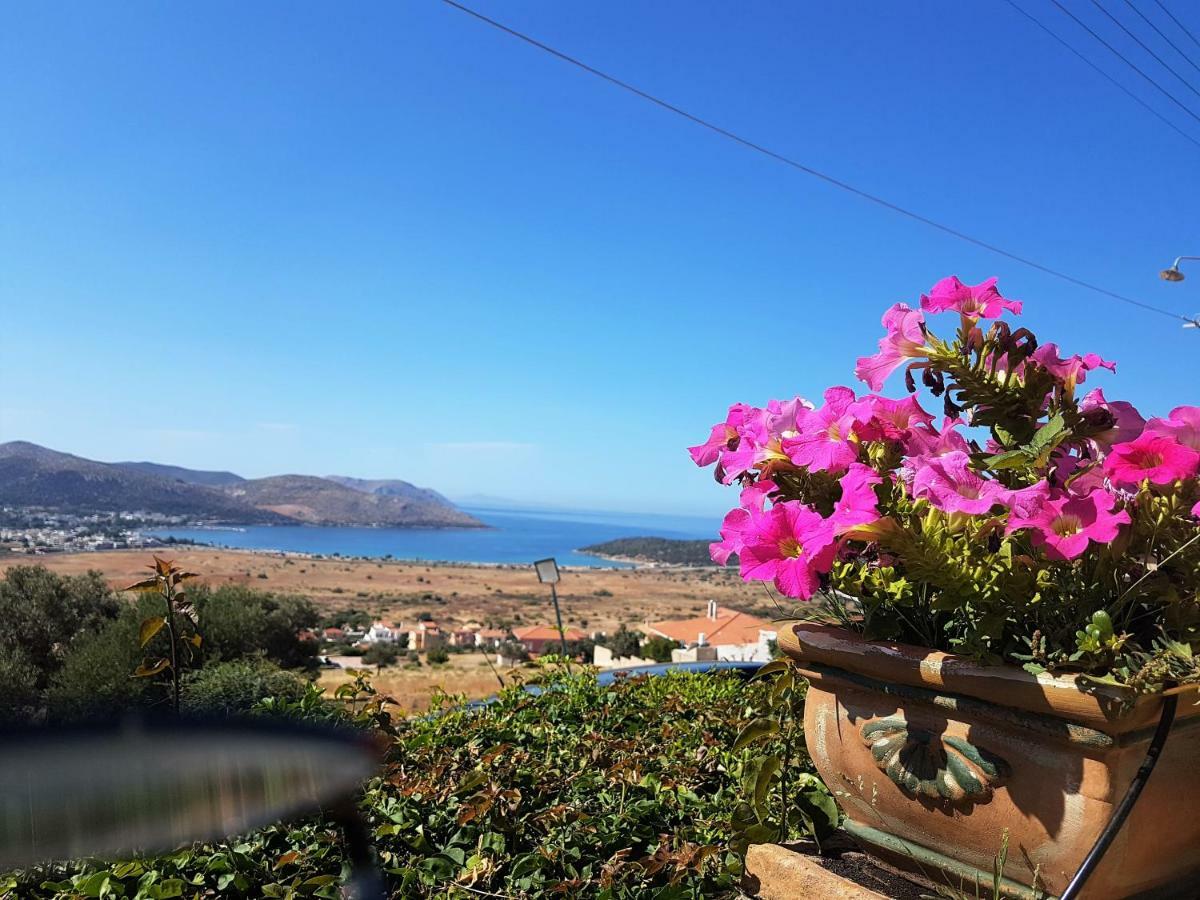 Nadia'S Traditional Greek House Ανάβυσσος Εξωτερικό φωτογραφία