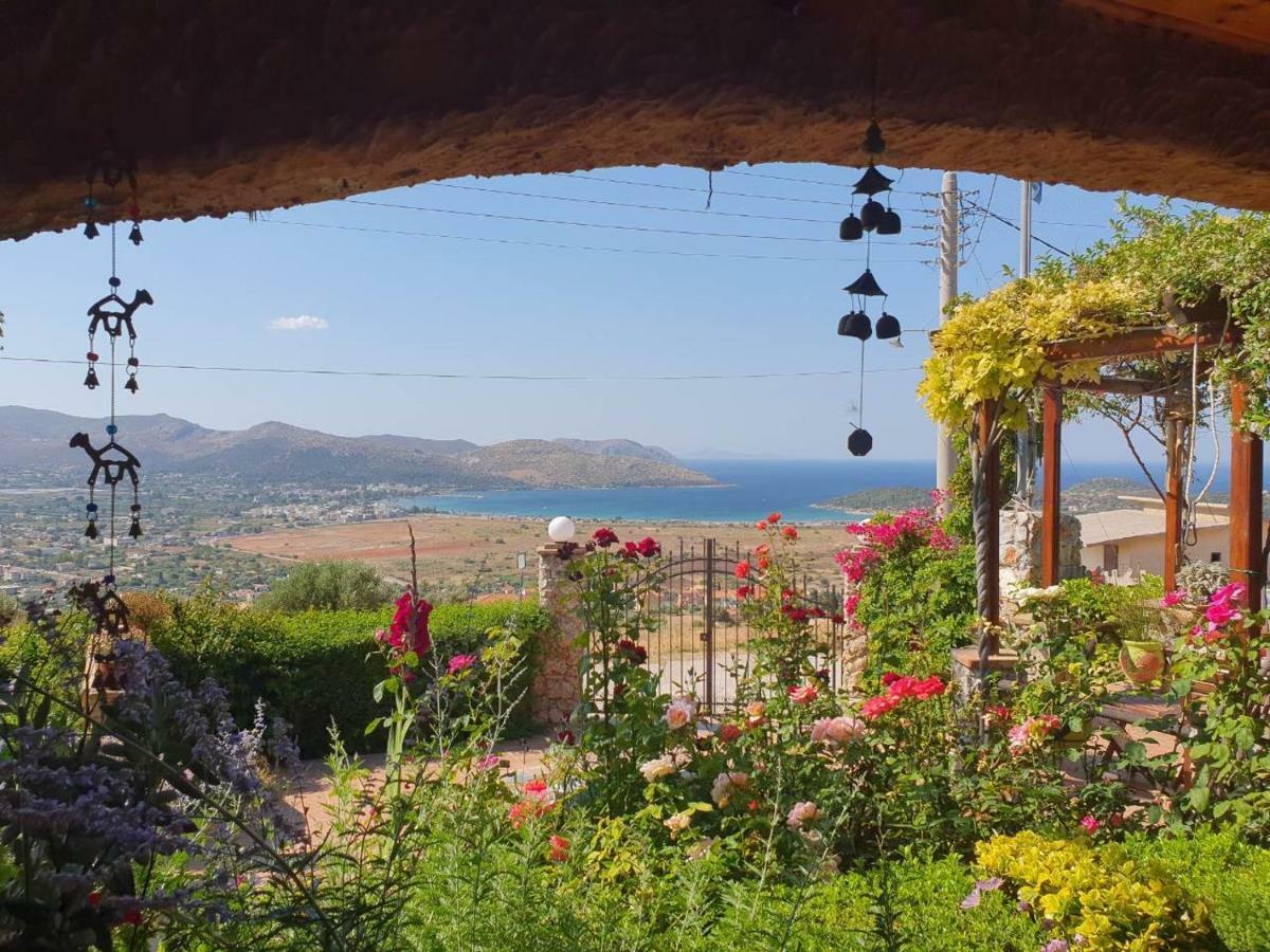 Nadia'S Traditional Greek House Ανάβυσσος Εξωτερικό φωτογραφία